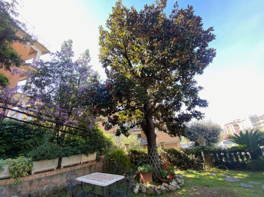 Garden *