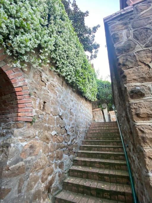 Garden * Rom